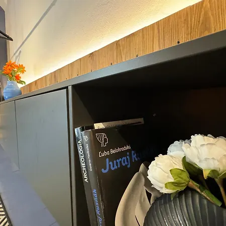 Center - Blue Διαμέρισμα Μπρατισλάβα